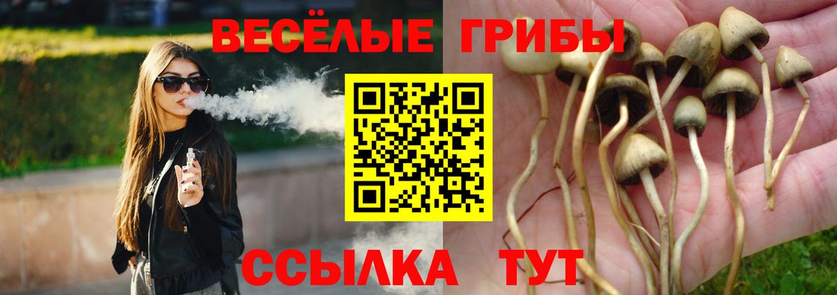 Галлюциногенные грибы Psilocybine cubensis  Вход с VPN  Кувандык 